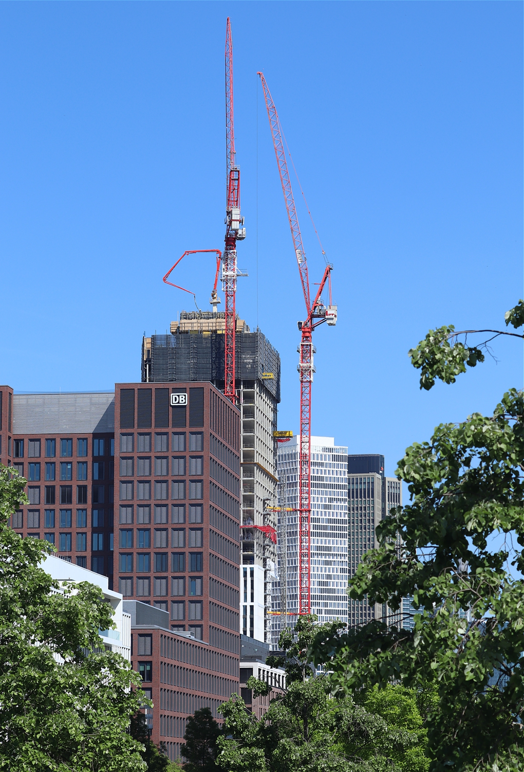 IMG_8027b.jpg