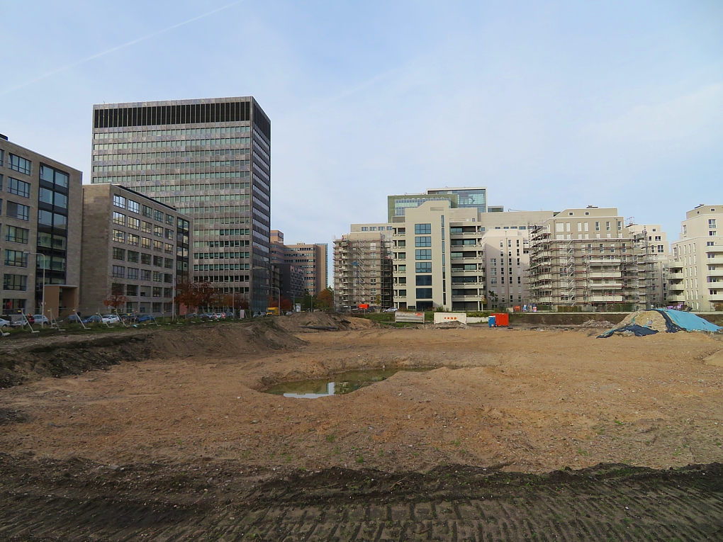 IMG_3580.jpg
