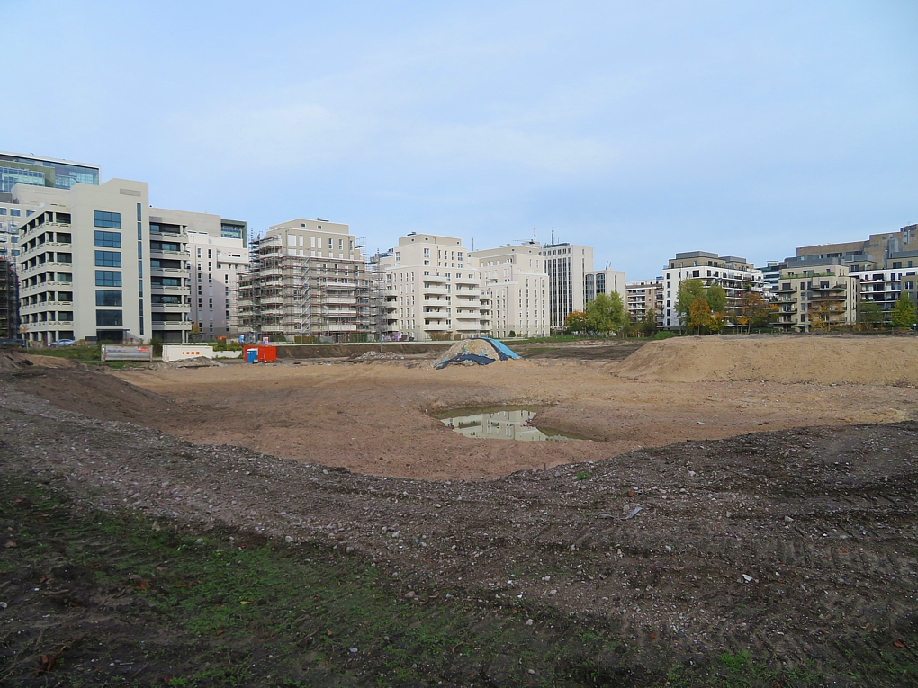IMG_3589.jpg