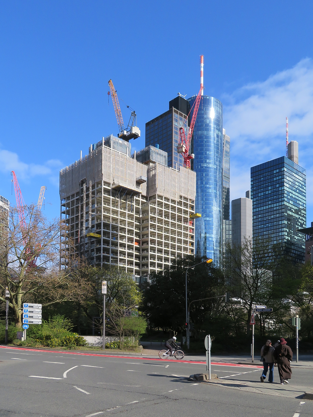 IMG_5244b.jpg