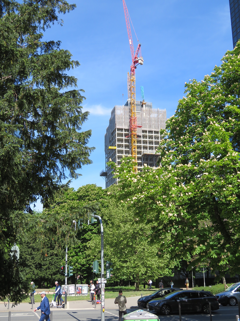 IMG_5534.jpg