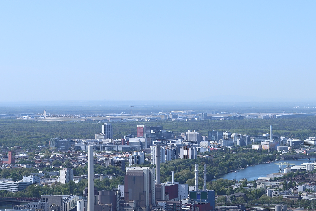 IMG_8384b.jpg