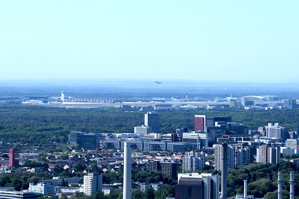 IMG_8386b.jpg