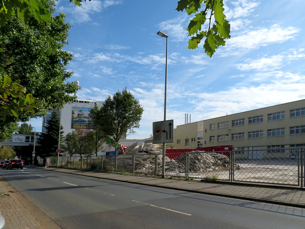 IMG_7464.jpg